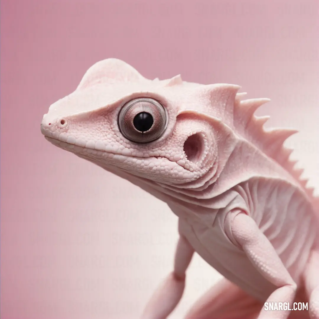 Close up of a lizard with a big eyeball in its mouth and a pink background