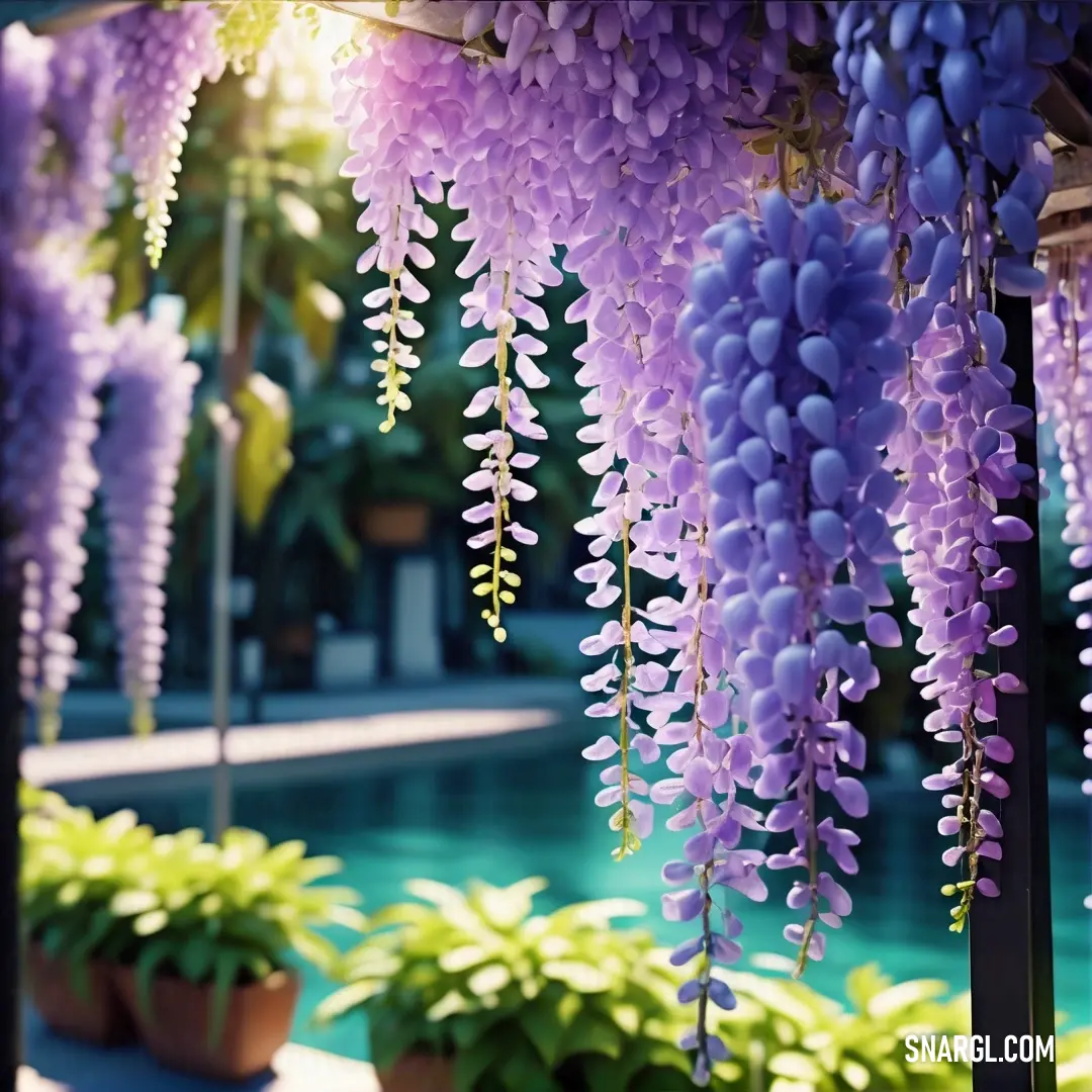 Bunch of purple flowers hanging from a ceiling over a pool of water in a garden area with potted plants. Example of Amethyst color.
