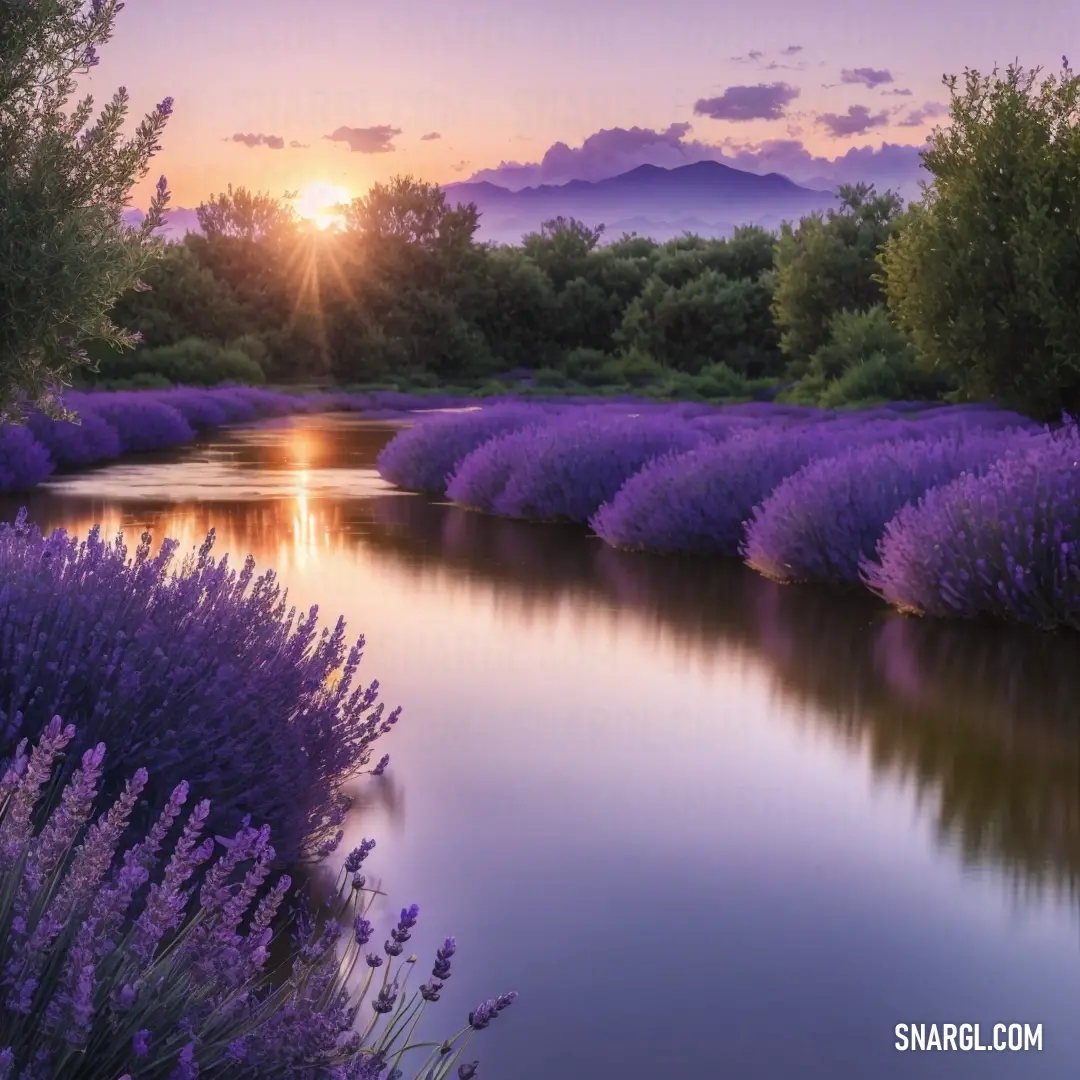 River surrounded by purple flowers and trees at sunset with the sun setting in the distance behind the trees. Color RGB 153,102,204.