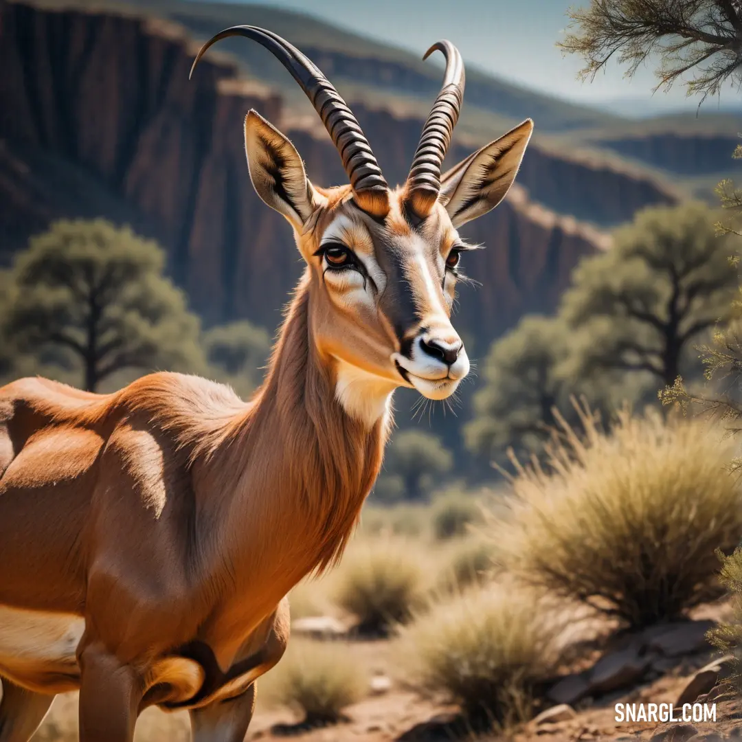 Gazelle standing in the desert with mountains in the background and trees in the foreground