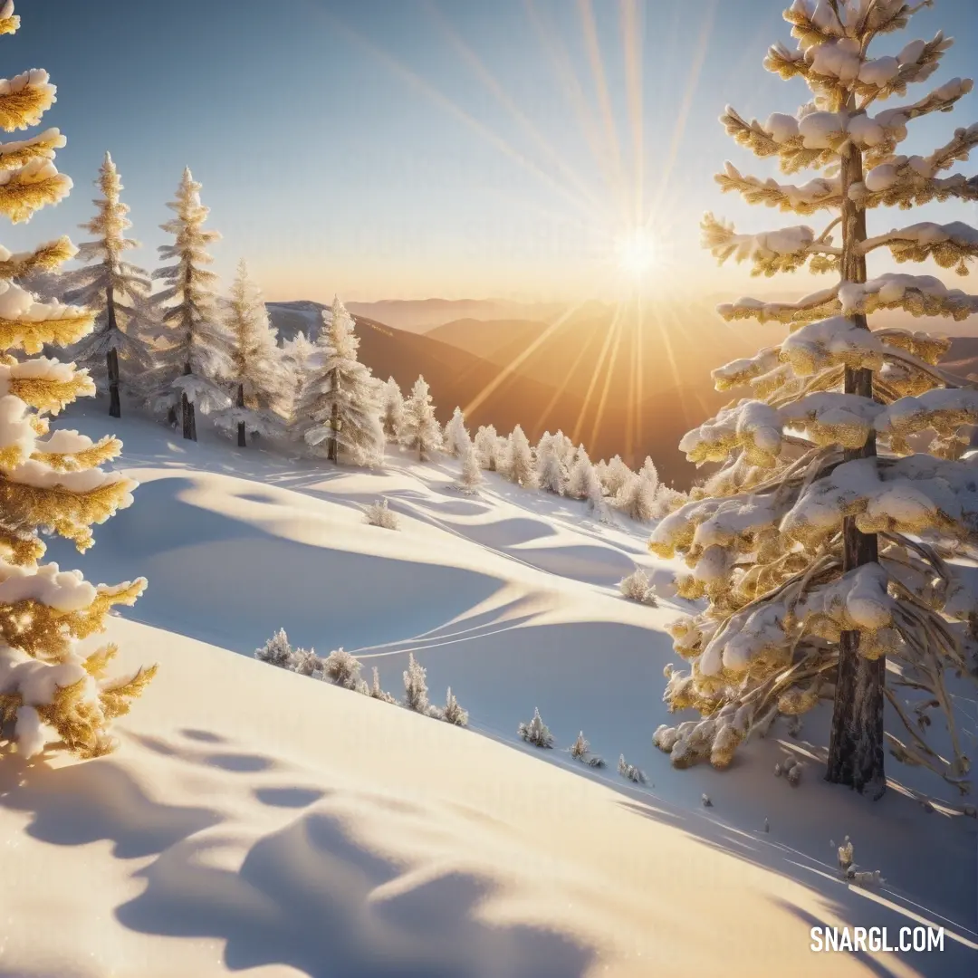 Snowy landscape with trees and the sun shining through the trees in the distance. Color #F2F3F4.