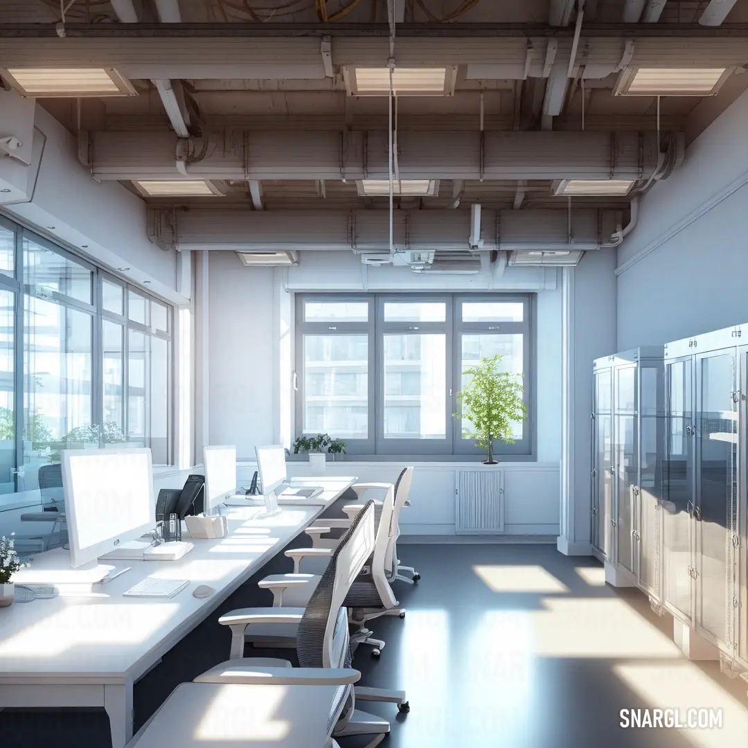 Room with a long table and chairs and a plant in the middle of the room and a window