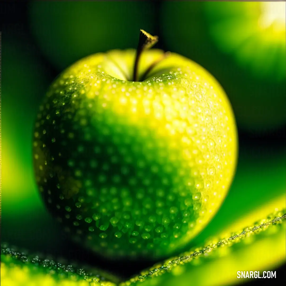 Green apple with dew drops on it's surface and a green leaf in the background with a black border