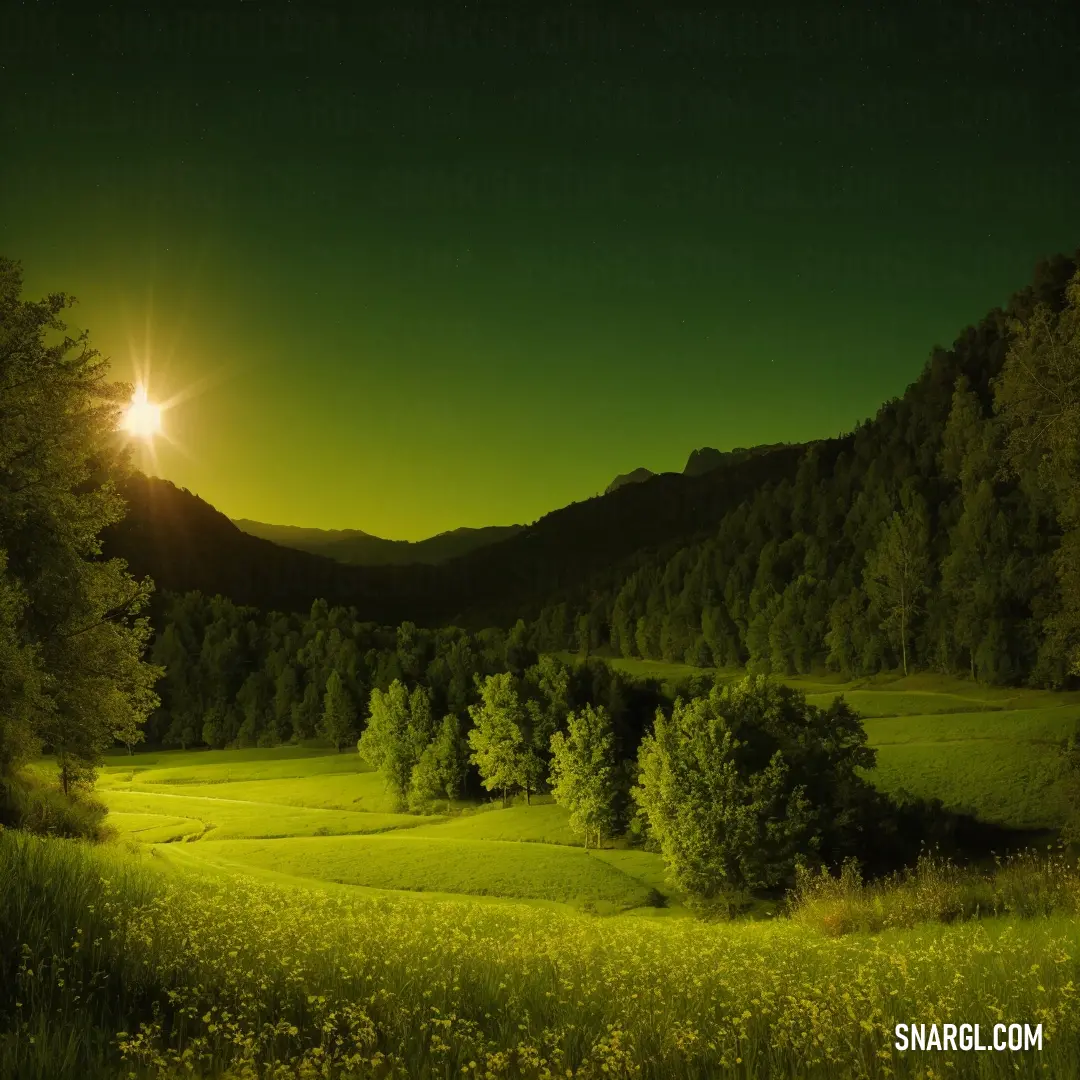 Apple green color example: Green field with trees and a bright sun in the background with mountains in the distance