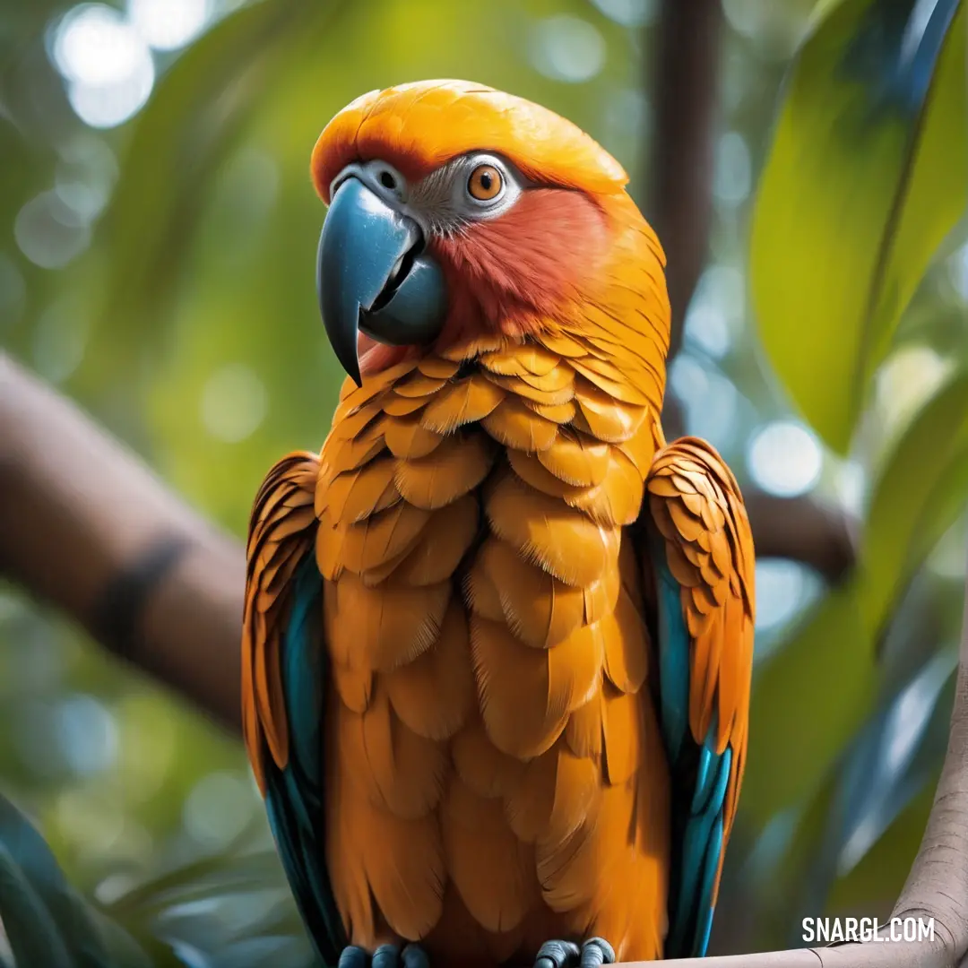 Colorful parrot perched on a branch in a tree with leaves in the background
