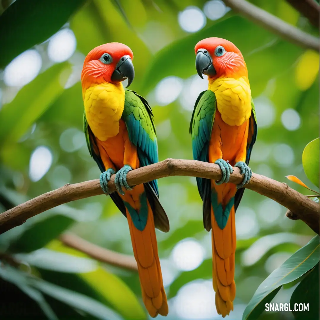 Two colorful birds perched on a branch in a tree with leaves in the background