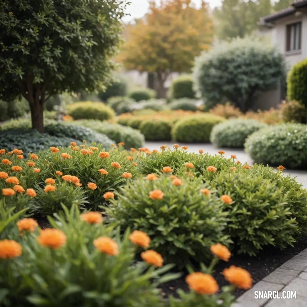 A garden bursting with orange flowers and lush green bushes, creating a lively contrast. The colors are a perfect example of the refreshing Asparagus hue, blending vibrant florals with calming foliage.