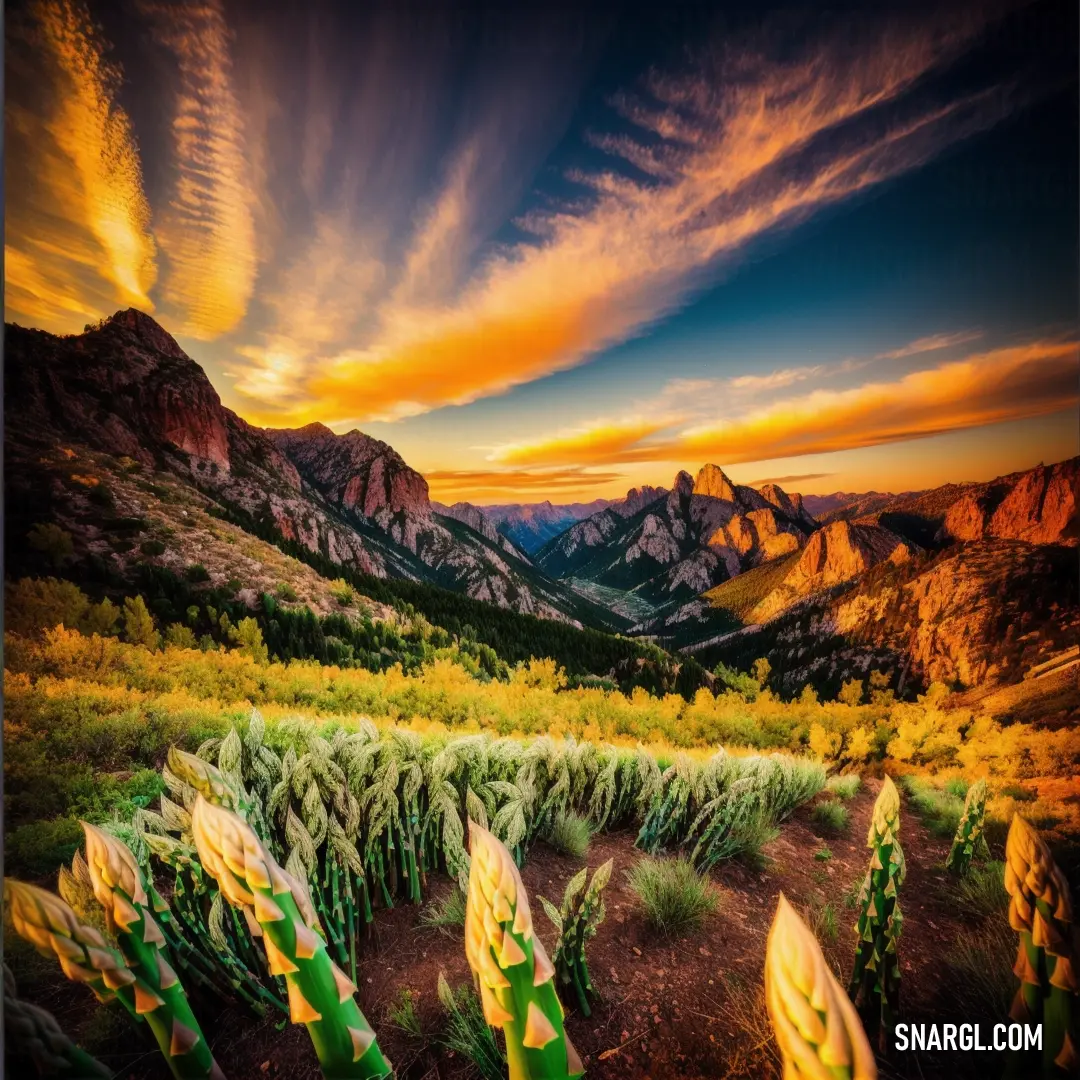 Beautiful sunset over a mountain range with a colorful sky above it and a field of corn in the foreground
