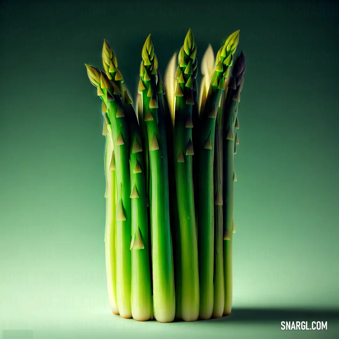 Bunch of green asparagus on a green background with a shadow on the ground