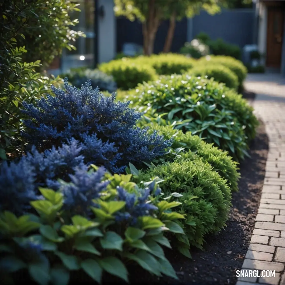 A lovely garden featuring a brick walkway bordered by bushes adorned with blue flowers. In the distance, a cozy house is nestled among the greenery, creating a harmonious scene full of color and serenity.