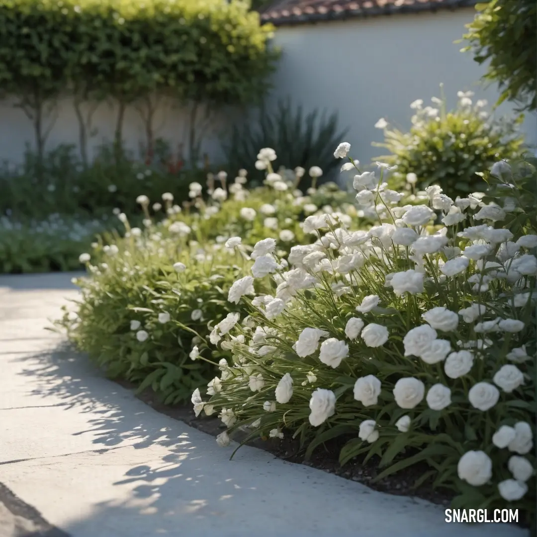 A beautiful garden with white flowers gracefully scattered throughout, complemented by lush greenery in the background. The scene is perfectly captured in an elegant RGB color palette, bringing out the beauty of nature.