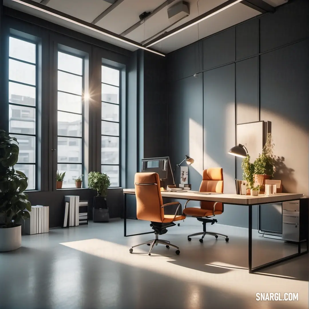 Chair and a desk in a room with large windows and a plant in the corner of the room. Color #848482.