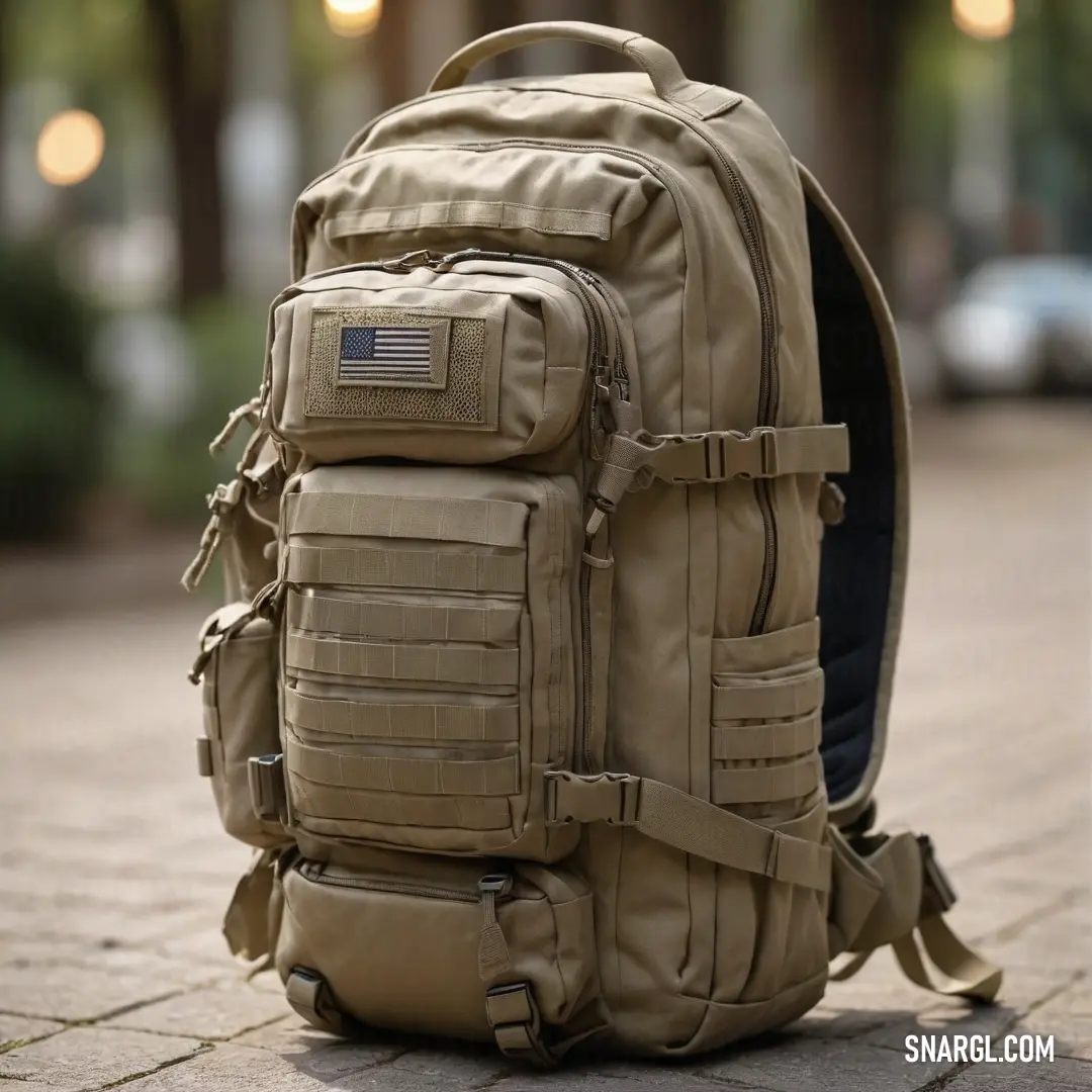 A rugged backpack rests on the ground, its back pocket proudly displaying a vibrant flag, blending harmoniously with the earthy tones of its beaver color. Surrounding nature adds life to this serene moment.