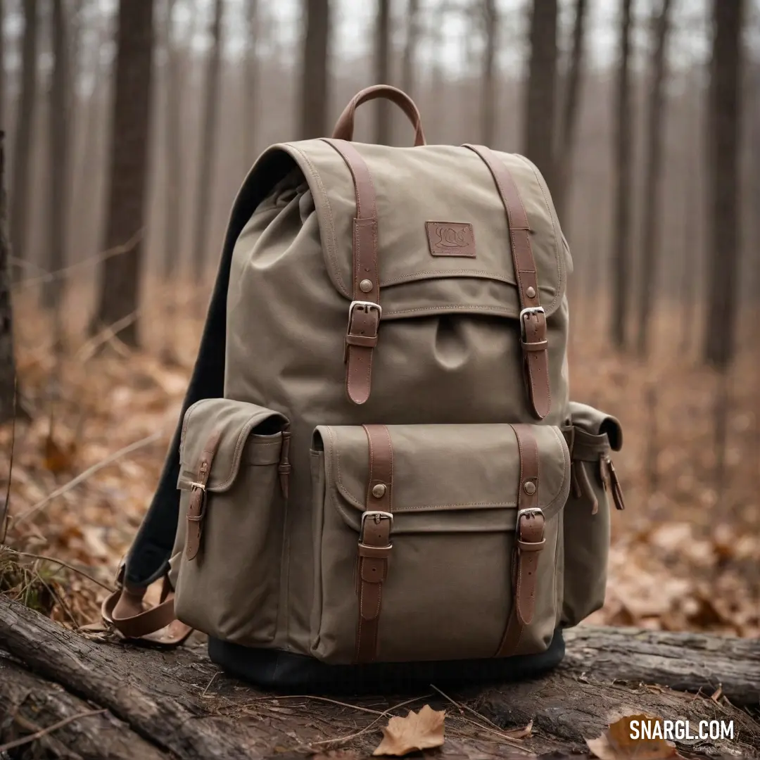 Amidst the fallen leaves, a backpack rests on a mossy log in a serene woodland scene. A second backpack hangs from a nearby branch, together creating a rustic charm that invites the spirit of adventure.