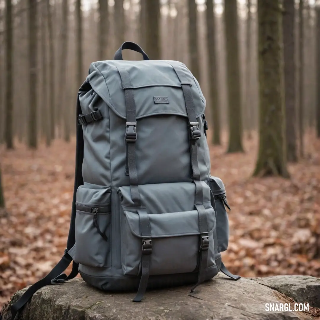 Vibrant leaves blanket the ground as a stylish backpack rests on a rock amidst the woods, framed by lush trees that create a picturesque backdrop. The gentle color of #9F8170 harmonizes beautifully with nature.