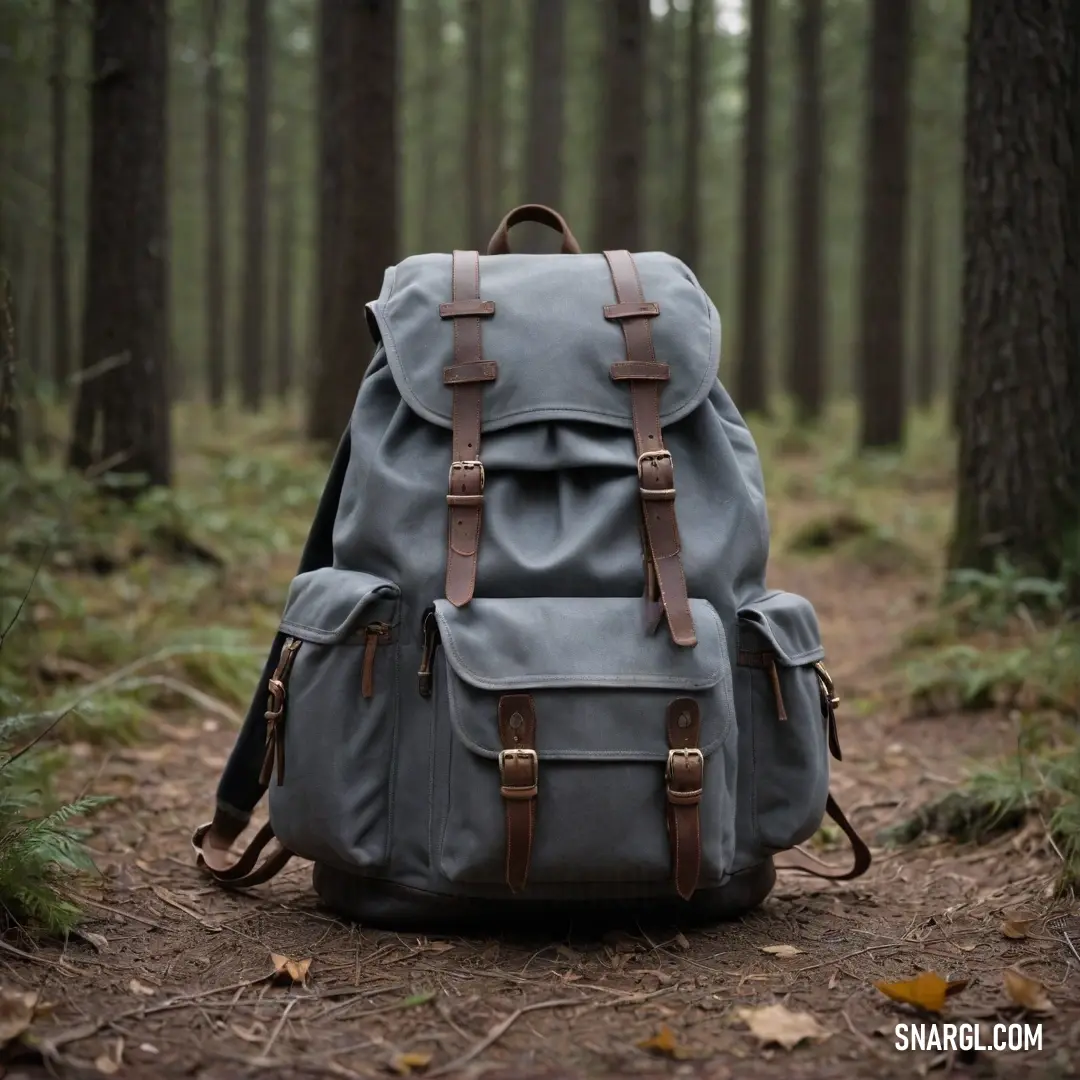 In a lush forest setting, a backpack lies on the ground, blending with the surroundings, as a beautiful backdrop of trees enhances the calm ambiance. The CMYK colors offer a subtle yet inviting feel.