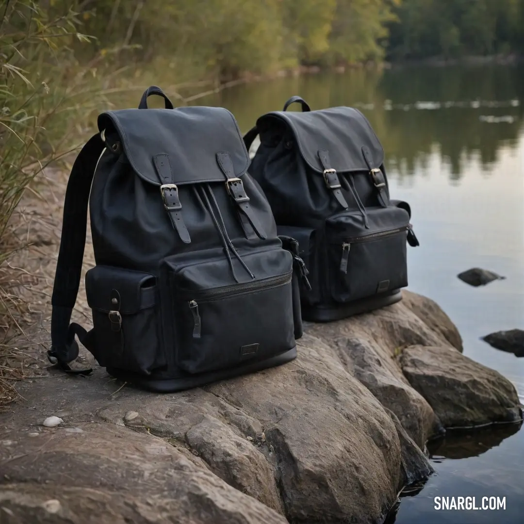 Two sleek black backpacks sit atop a rugged rock, their striking silhouettes mirrored by the tranquil lake. Towering trees form a picturesque backdrop, enhancing the peaceful atmosphere of this natural retreat.