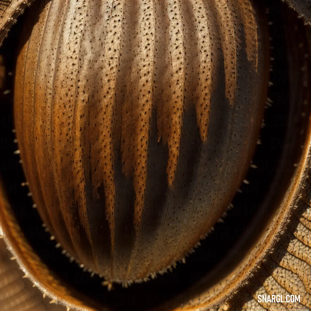 A close-up view of a brown vase, its intricate design with a rich brown center making it a captivating piece of craftsmanship. The soft CMYK 0,19,30,38 color enhances the natural beauty of the vase’s smooth texture.