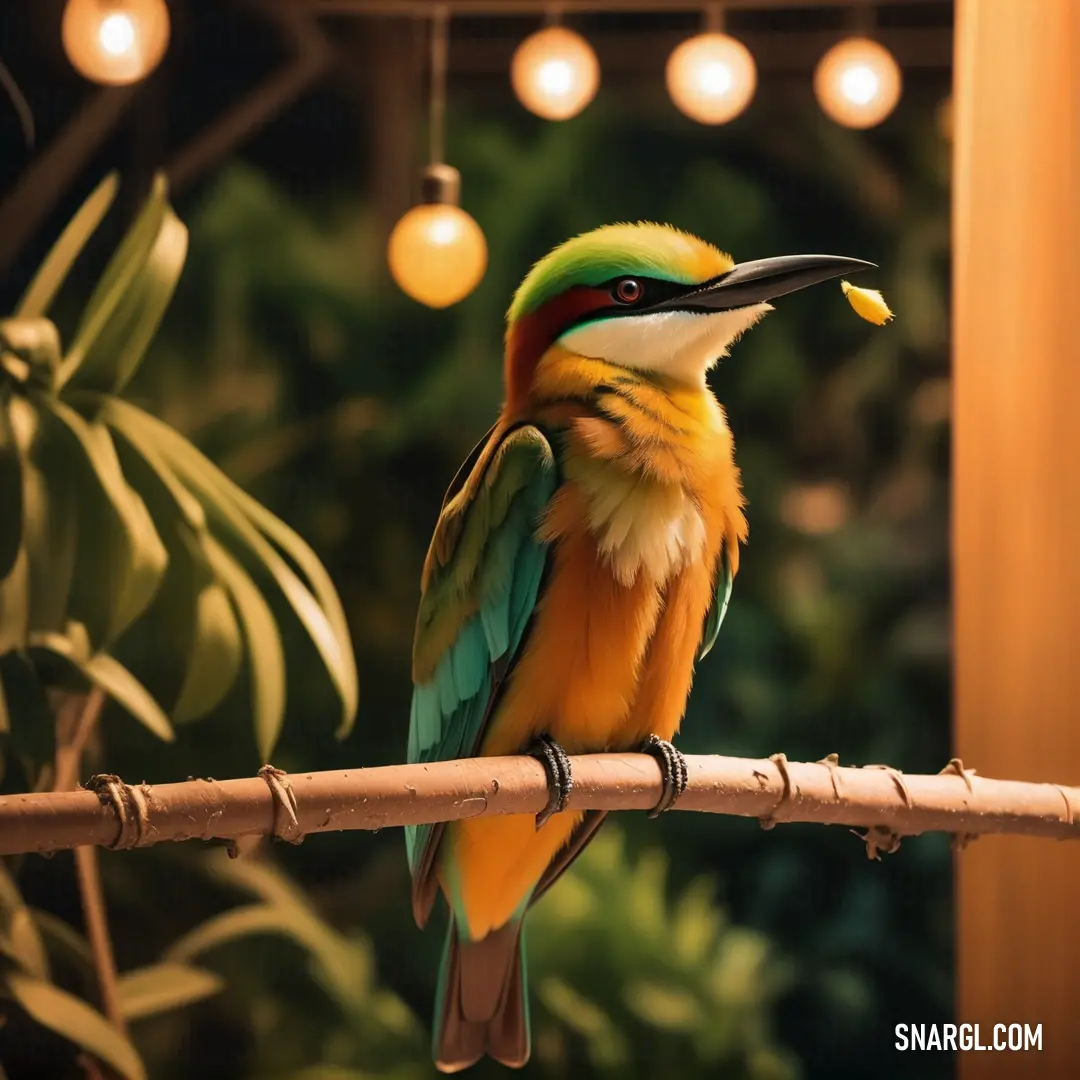 Colorful Bee-eater perched on a branch with lights hanging above it and a plant in the background