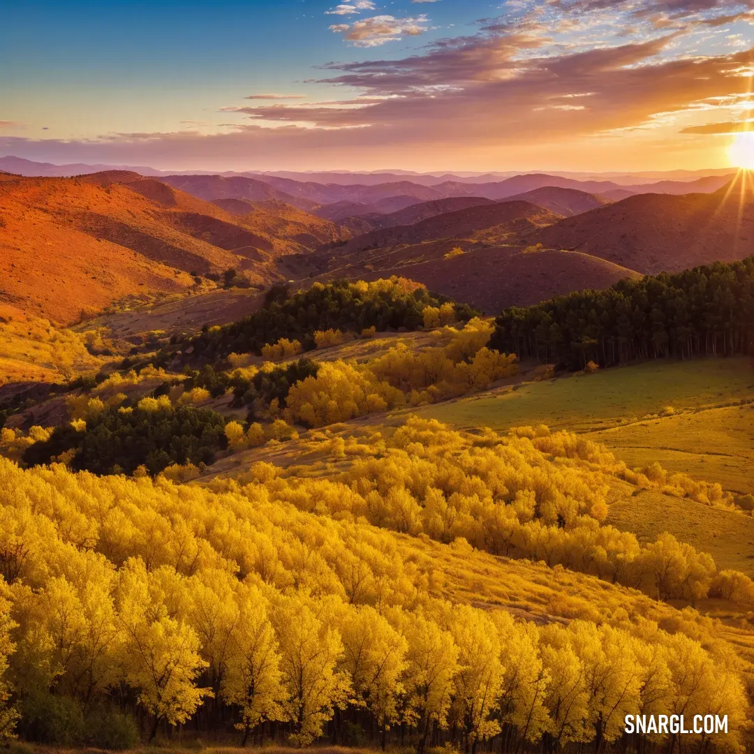 Beautiful sunset over a mountain valley with trees in the foreground and a few hills in the background
