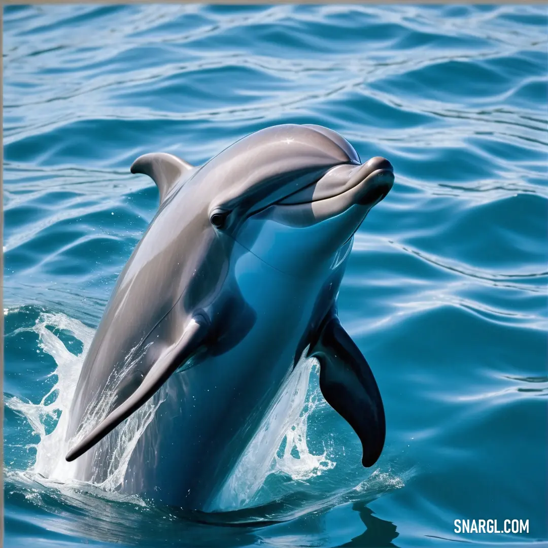 Dolphin is jumping out of the water in the ocean with its mouth open and it's head above the water