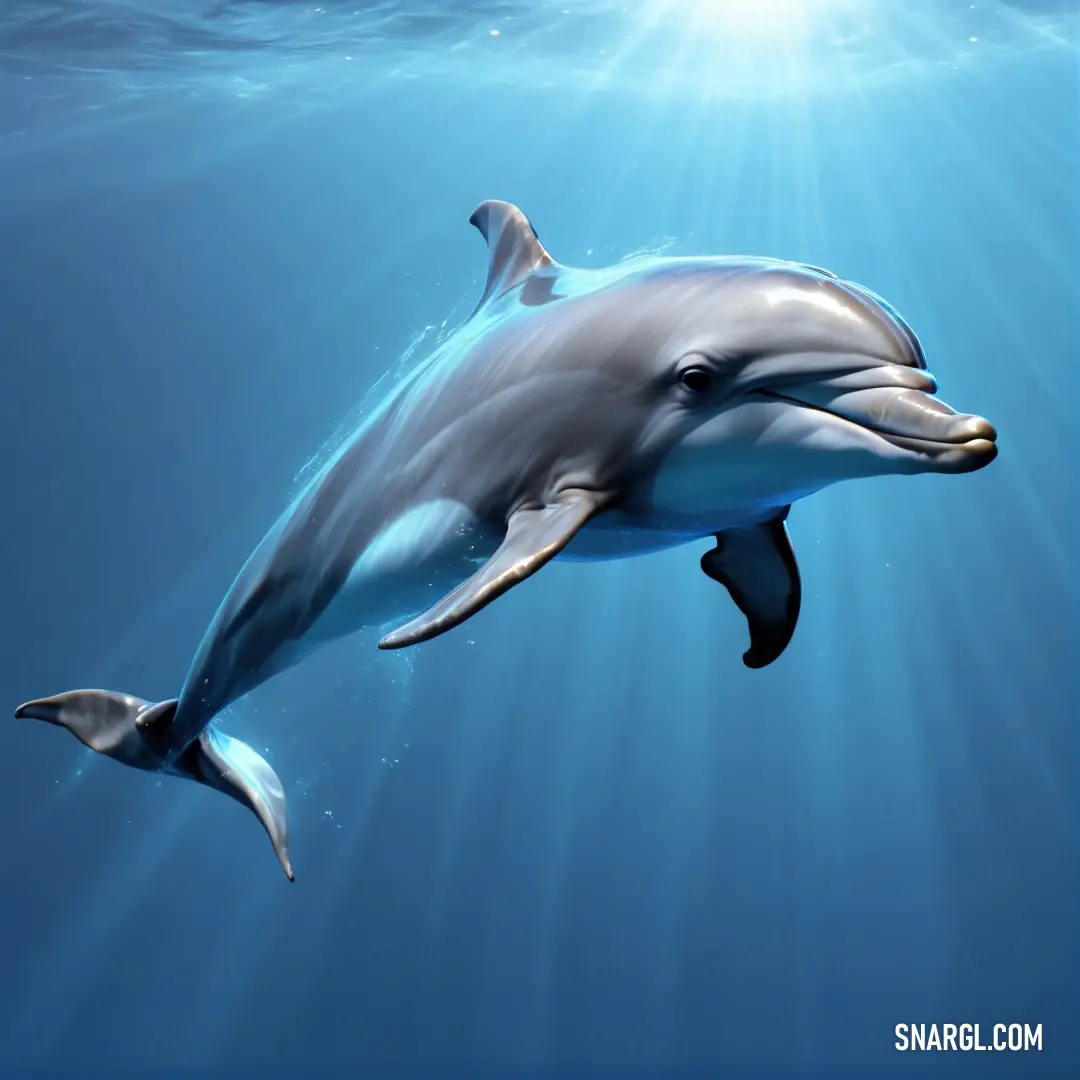 Dolphin swimming in the ocean with sunlight shining through the water's bubbles and a fish in the foreground