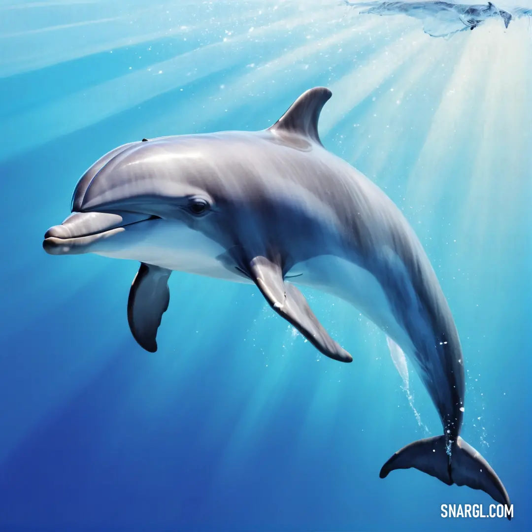 Dolphin swimming under water with a sunbeam in the background