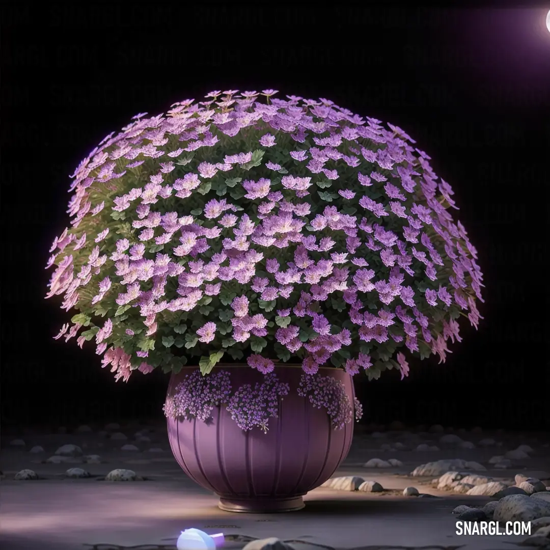 Purple vase with purple flowers in it on a rock ground with rocks and a light on the side