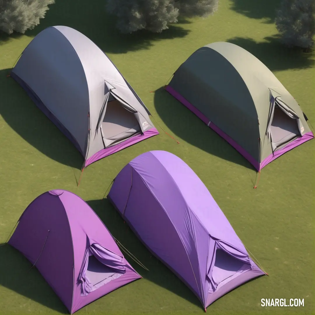 Three tents are laying on the ground in a field of grass and trees. Example of RGB 244,187,255 color.