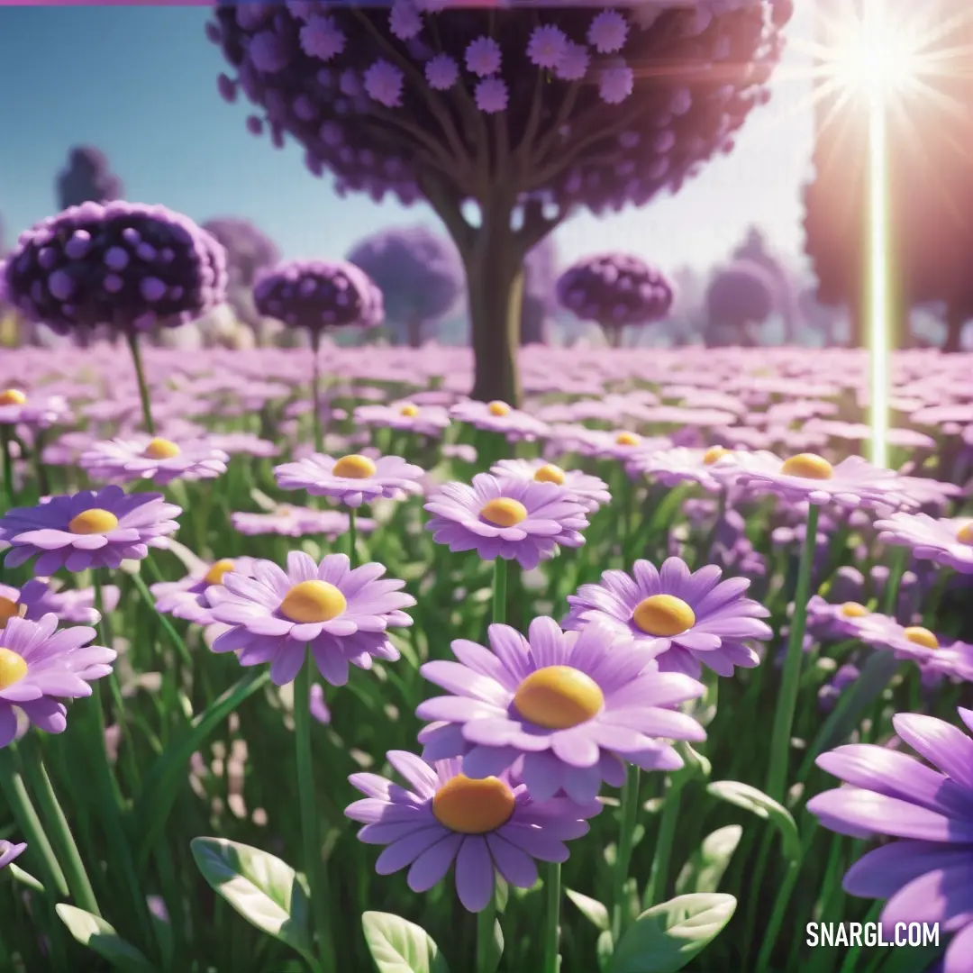 Field of purple flowers with trees in the background and a pink frame over the top of the picture. Color RGB 244,187,255.