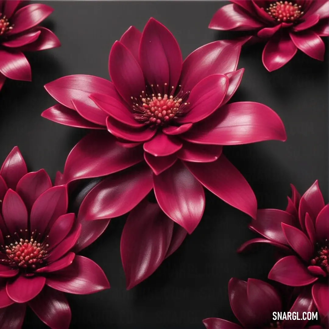 Picture of a bunch of flowers on a black background with a red center