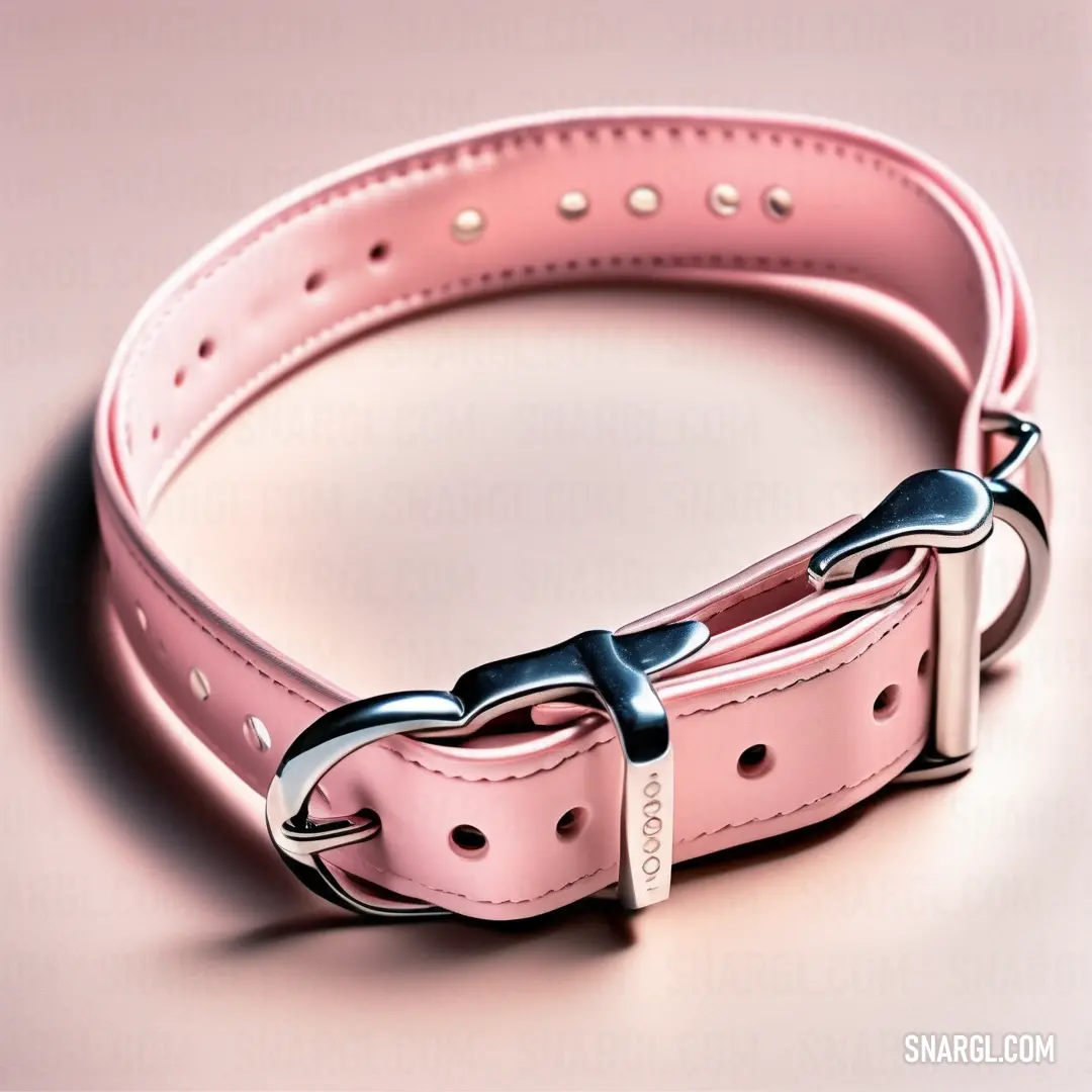 Bubble gum color example: Pink leather collar with a metal buckle on it's side