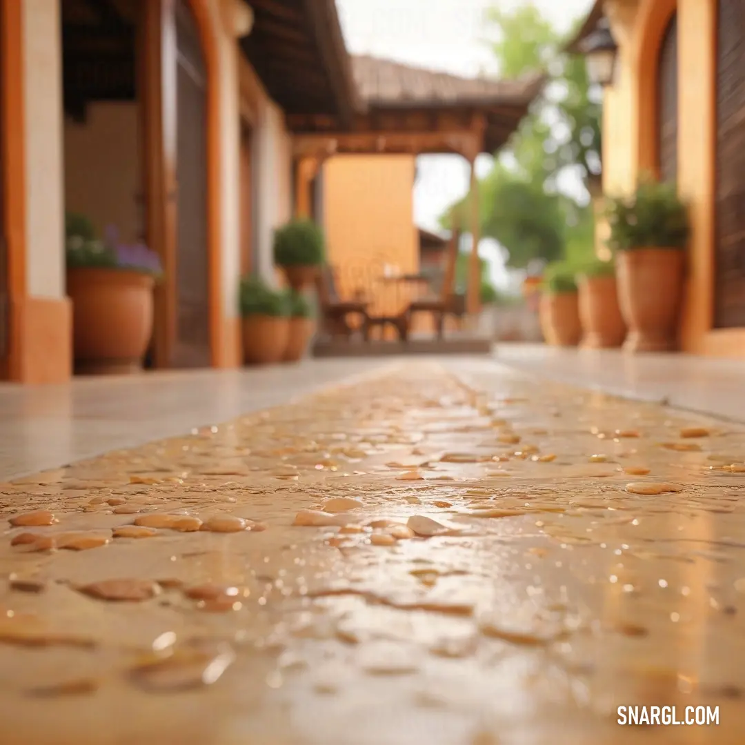 Burnt sienna color. Walkway with a lot of water on it and potted plants on the side of it