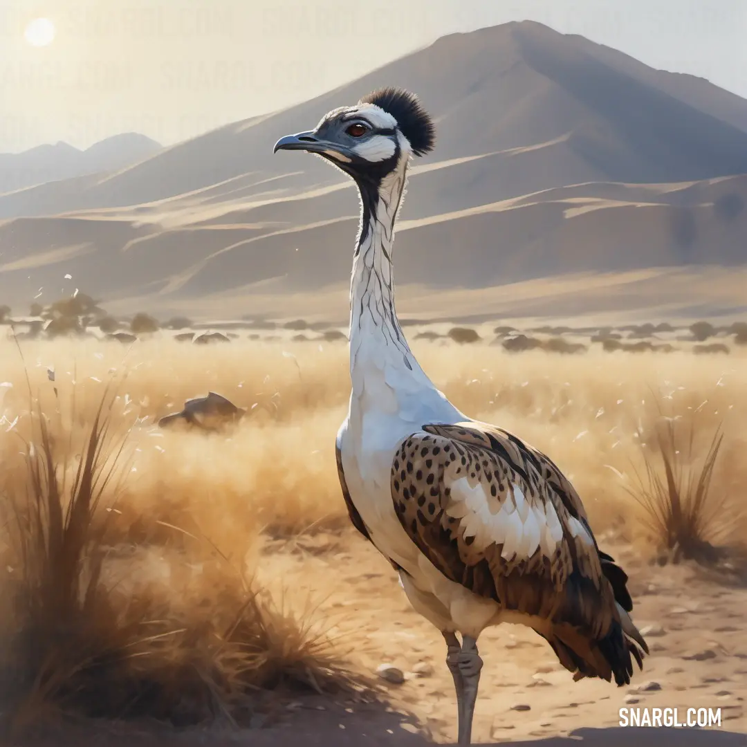 Bustard standing in the desert with a mountain in the background