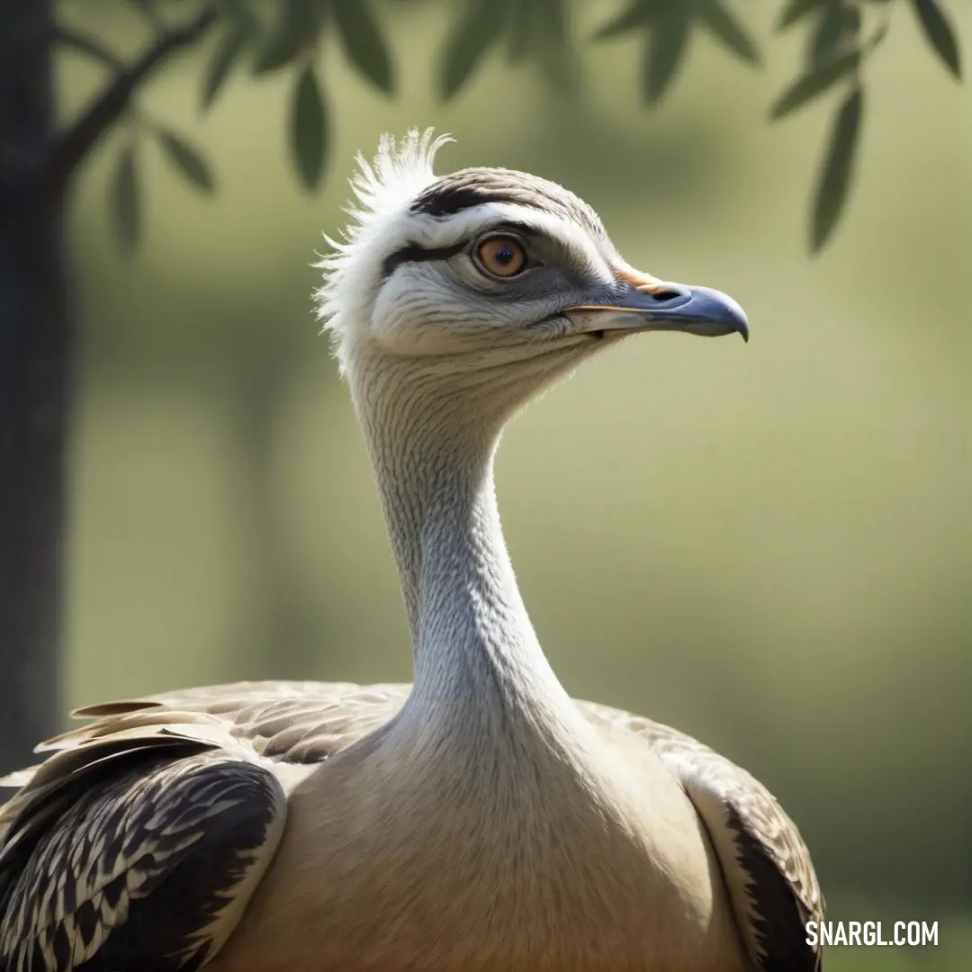 Bustard with a long neck and a long neck standing in front of a tree with leaves on it