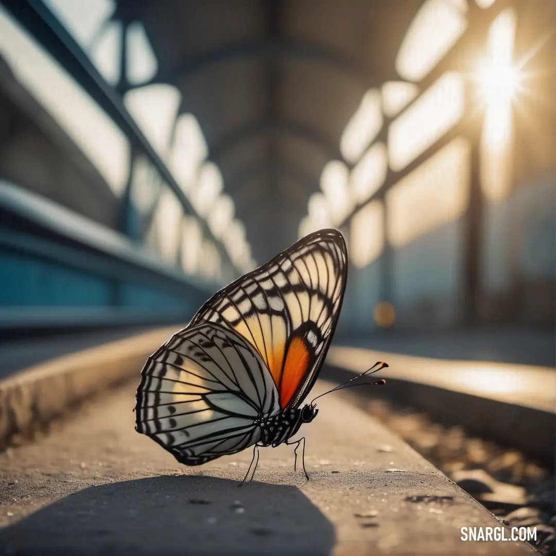 Butterfly standing on a platform in a train station with the sun shining through the windows and casting a shadow