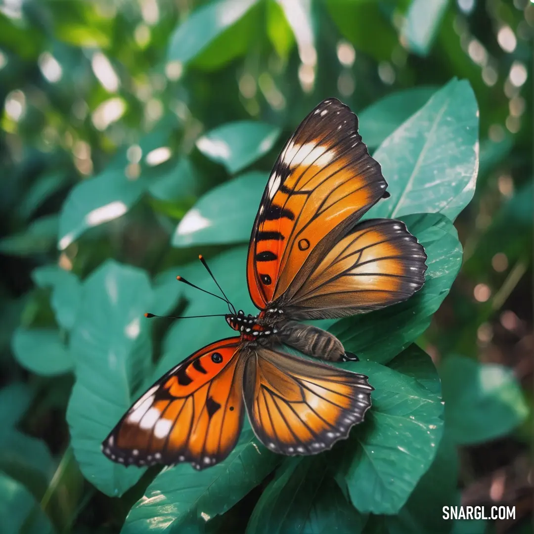 Two butterflies on top of a green leafy plant in the sun light of the day, with a blurry background