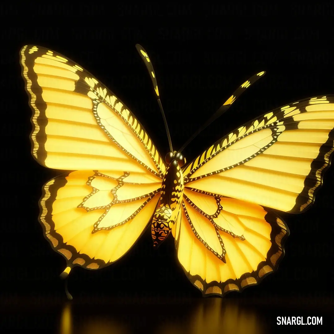 Yellow butterfly with a black background