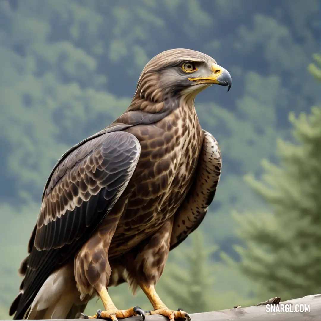 Buzzard of prey on a branch of a tree branch with a mountain in the background