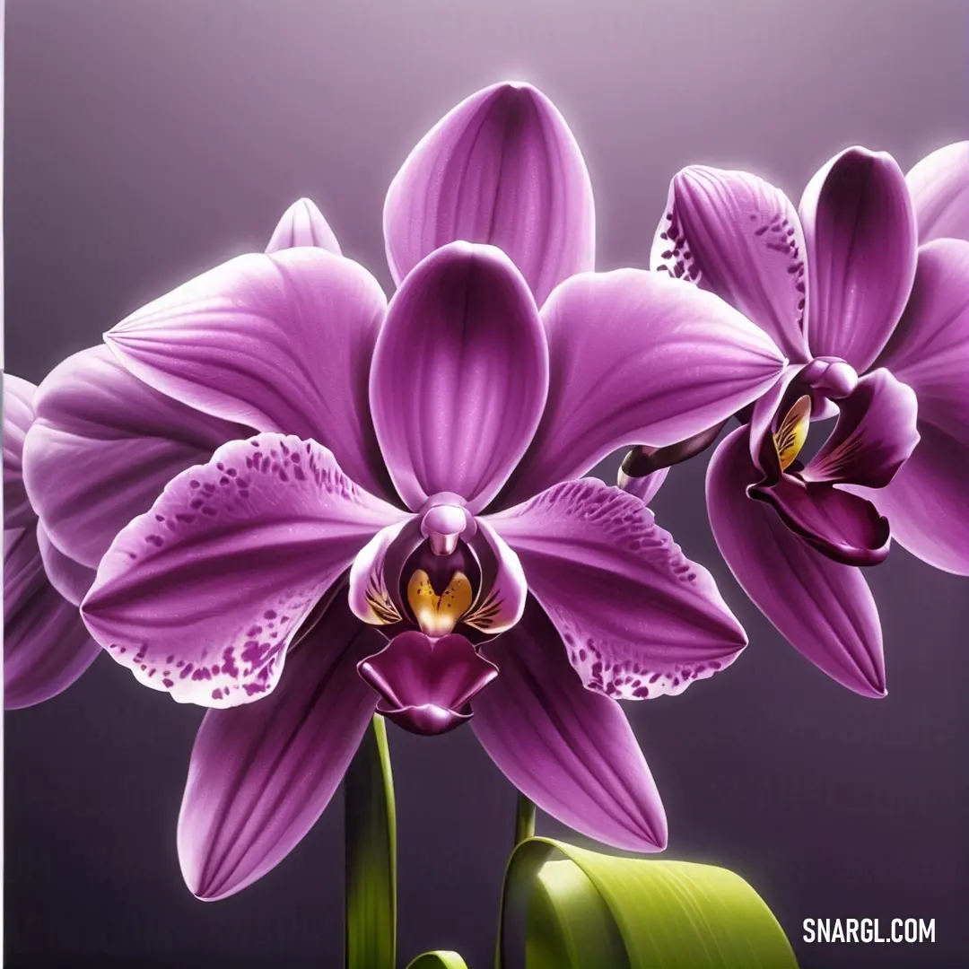 Painting of purple flowers. Color #702963.