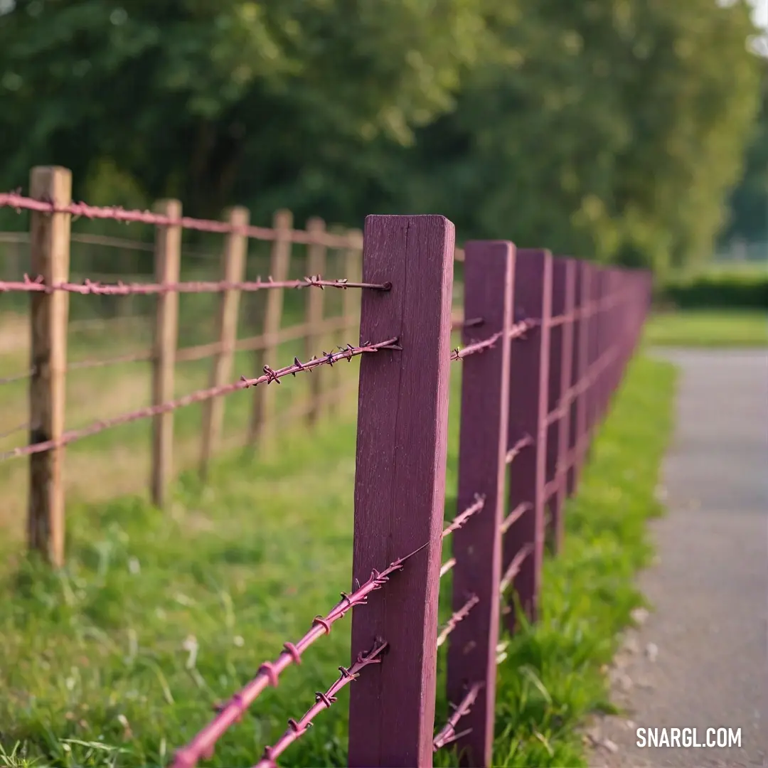 Purple fence is next to a road and trees in the background. Example of CMYK 0,63,12,56 color.