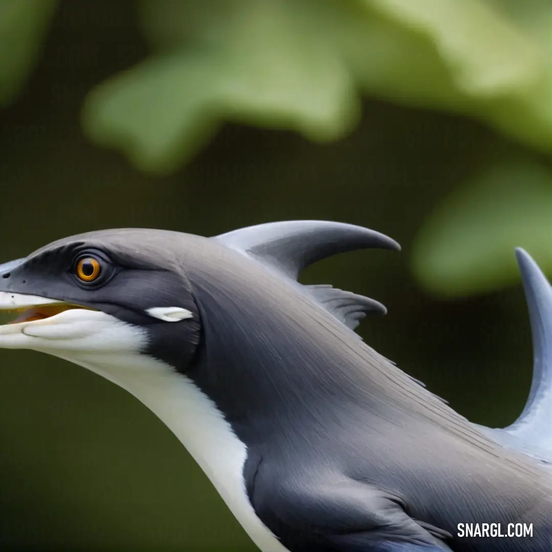 Callorhynchus with a mouth open and a beak open and a mouth wide open, with a green background