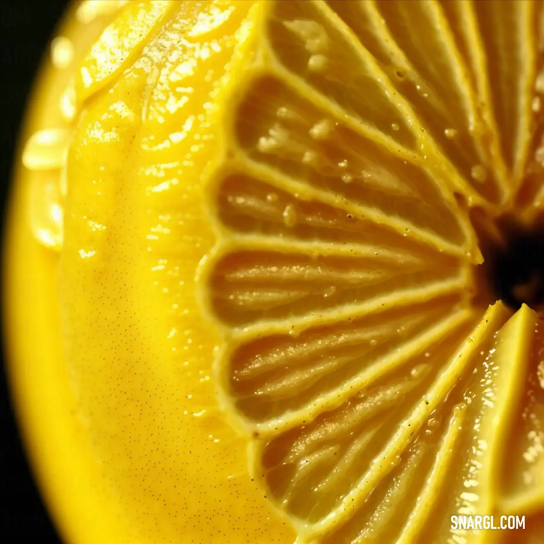 Close up of a lemon slice with water droplets on it's surface and a black background behind it