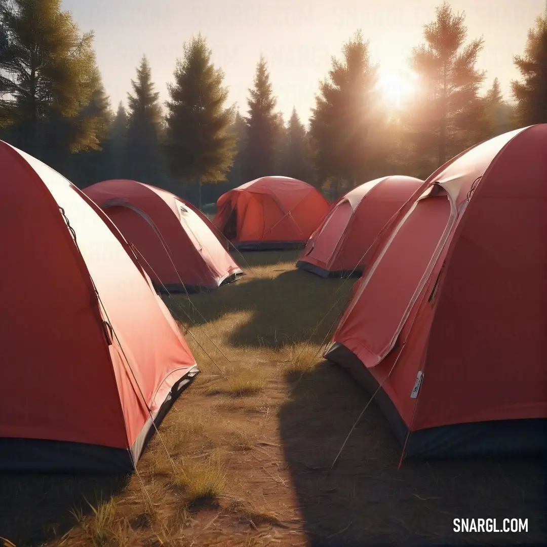 Group of tents in a field next to trees and grass with the sun shining on them and the ground. Example of Candy pink color.