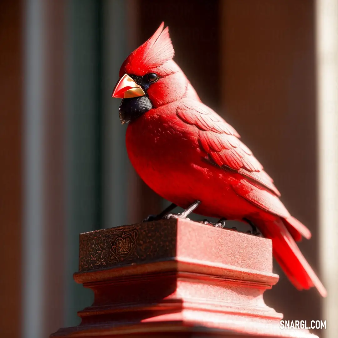 Red bird is perched on a red post outside a building with a window in the background and a light shining on the building