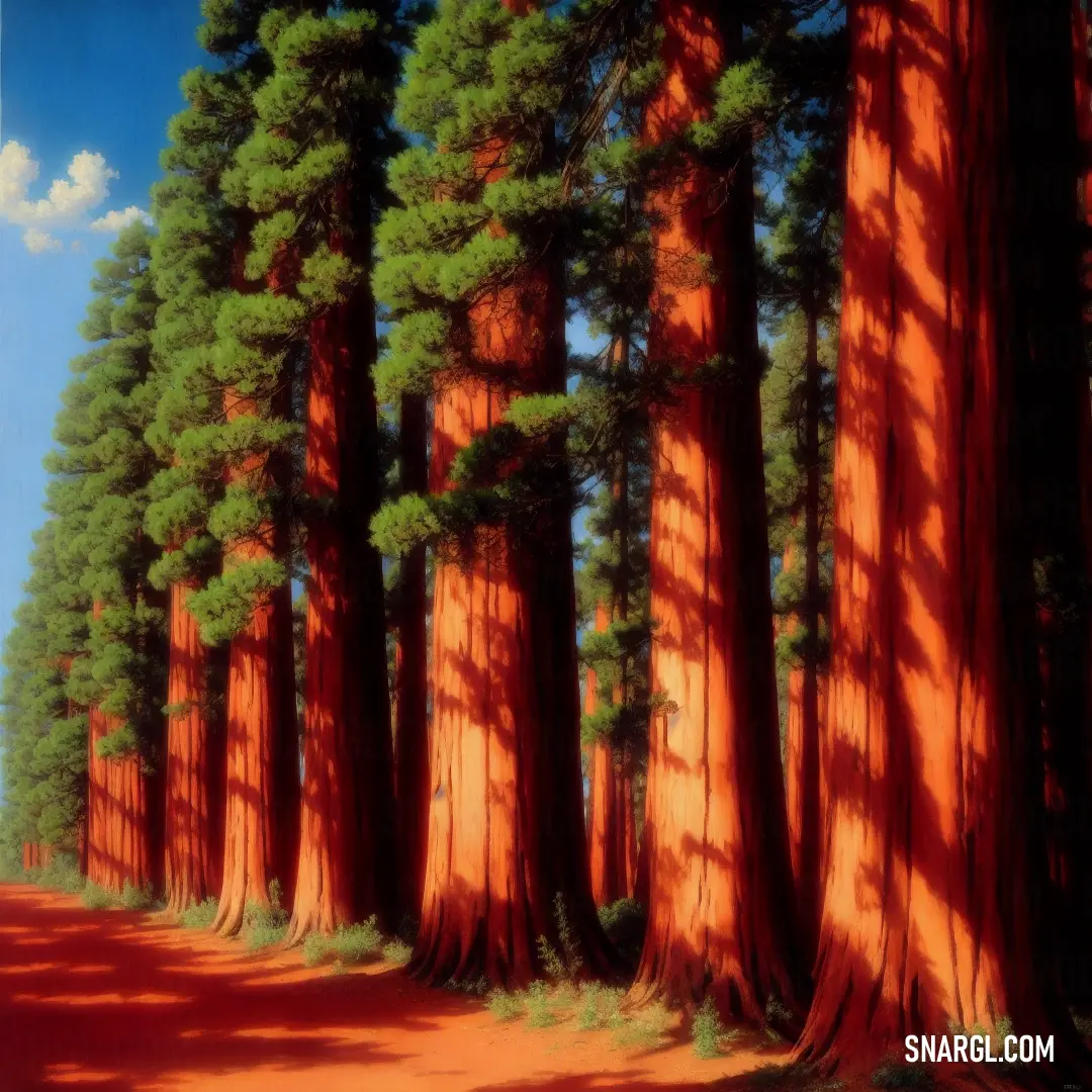 Carrot color. Painting of a road surrounded by tall trees and a blue sky with clouds in the background