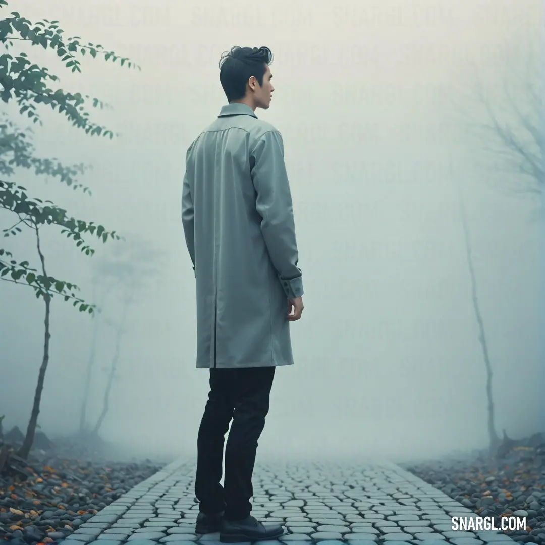 Man standing on a cobblestone walkway in the foggy woods