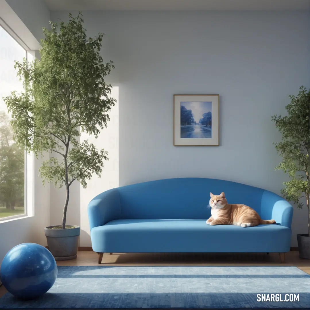 Cat on a blue couch in a living room with a blue rug and a blue ball on the floor