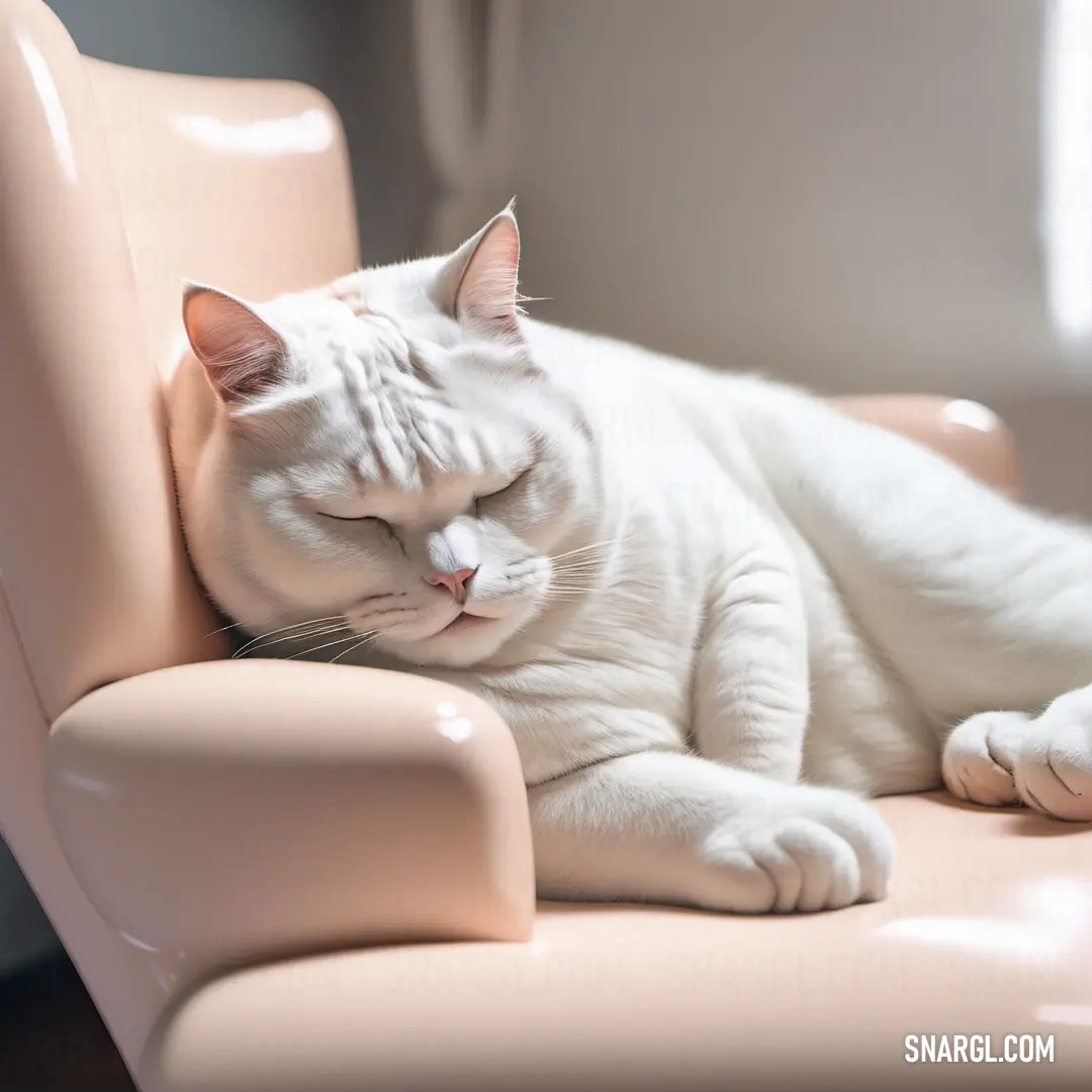 White cat is sleeping on a pink chair with its eyes closed and it's head resting on the arm of a pink chair