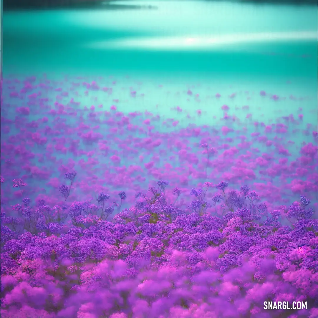 Field of purple flowers with a lake in the background with a blue sky in the background